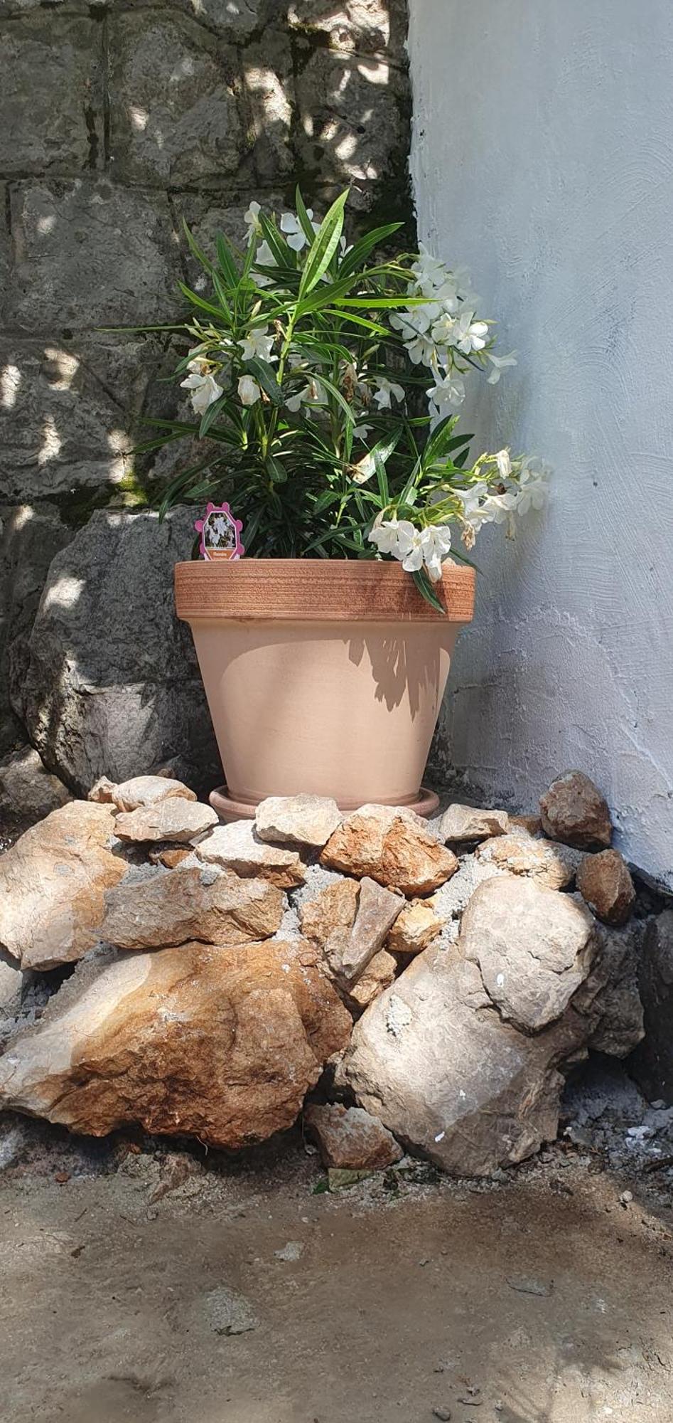 Apartmani Sara Marija Karlobag Ngoại thất bức ảnh